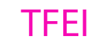 T.E.A.M. Fiscal Ed. Inc logo